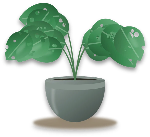 Illustration of a potted swiss cheese vine
