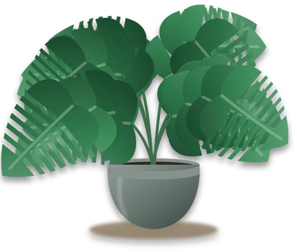 Illustration of a potted swiss cheese plant