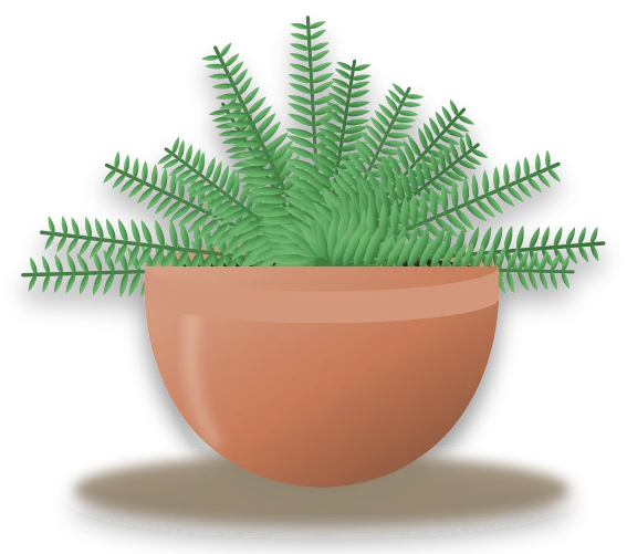 Illustration of a potted boston fern