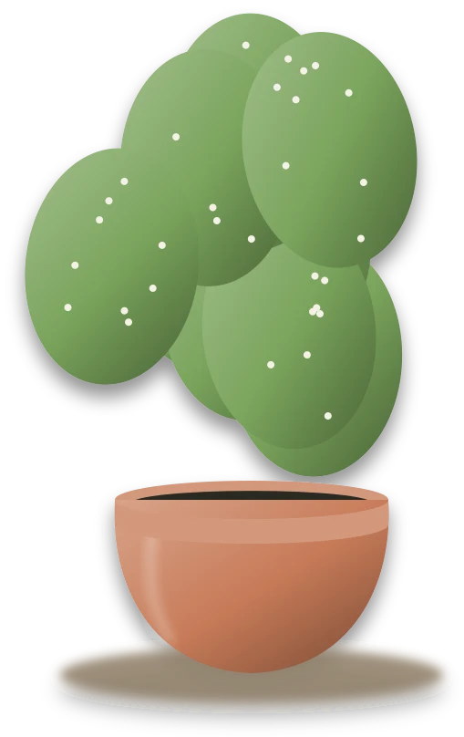 Illustration of a potted bunny ears cactus