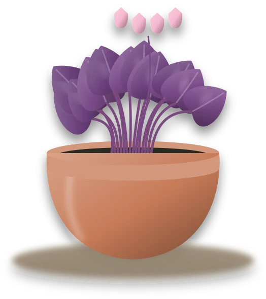 Illustration of a potted purple shamrock