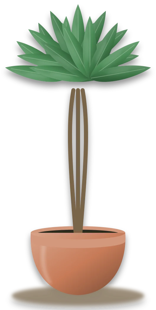 Illustration of a potted money tree