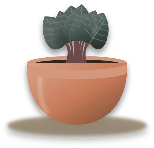 Illustration of a potted ripple peperomia