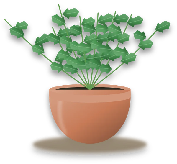 Illustration of a potted parsley