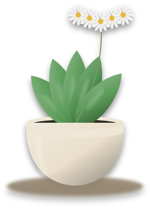 Illustration of a potted moth orchid