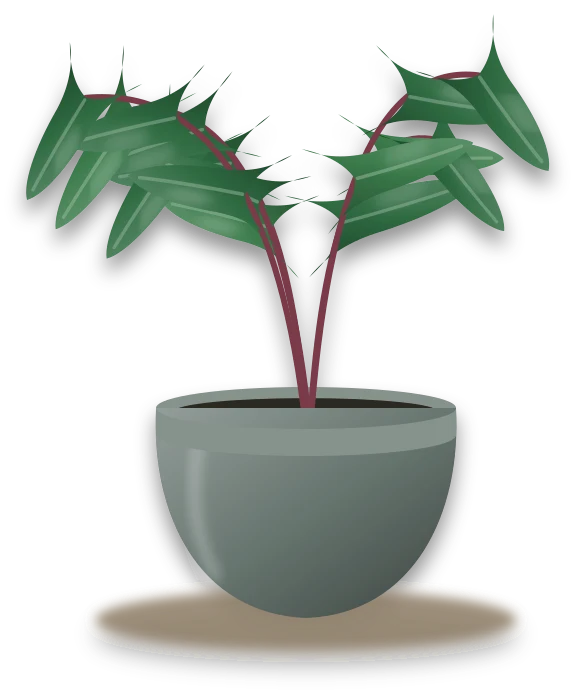Illustration of a potted blushing philodendron