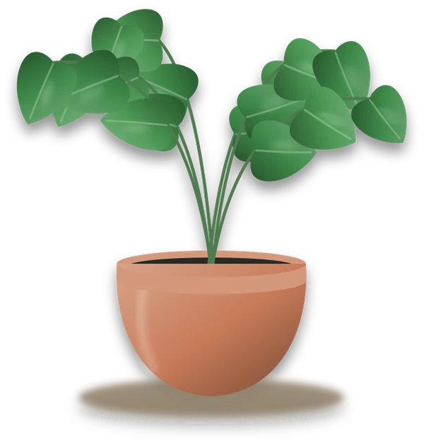 Illustration of a potted heartleaf philodendron