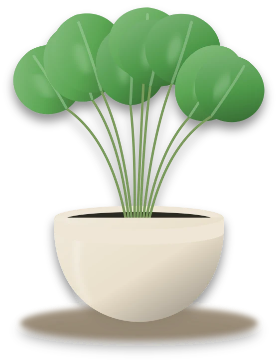 Illustration of a potted chinese money plant