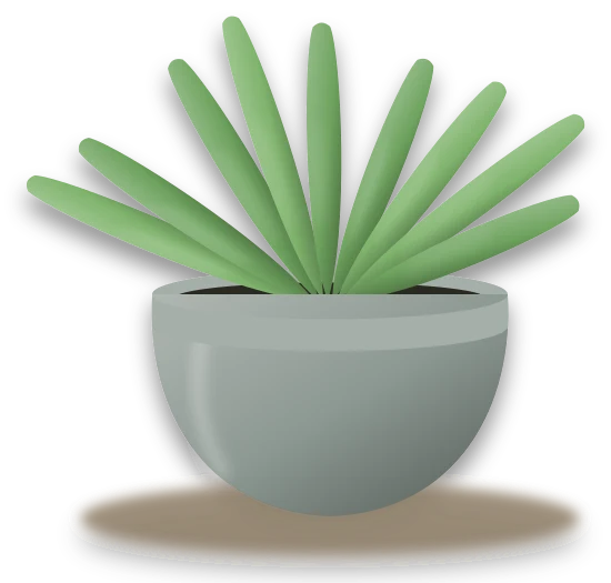 Illustration of a potted staghorn fern