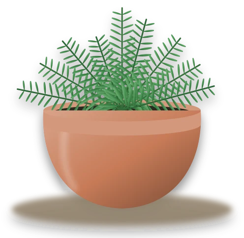 Illustration of a potted ribbon fern
