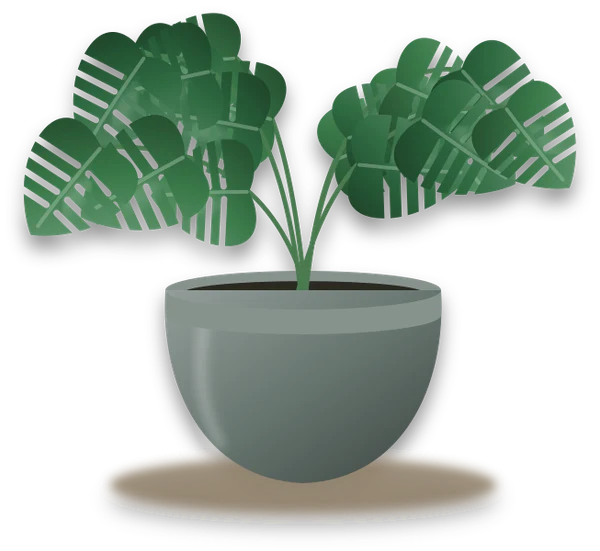 Illustration of a potted mini monstera