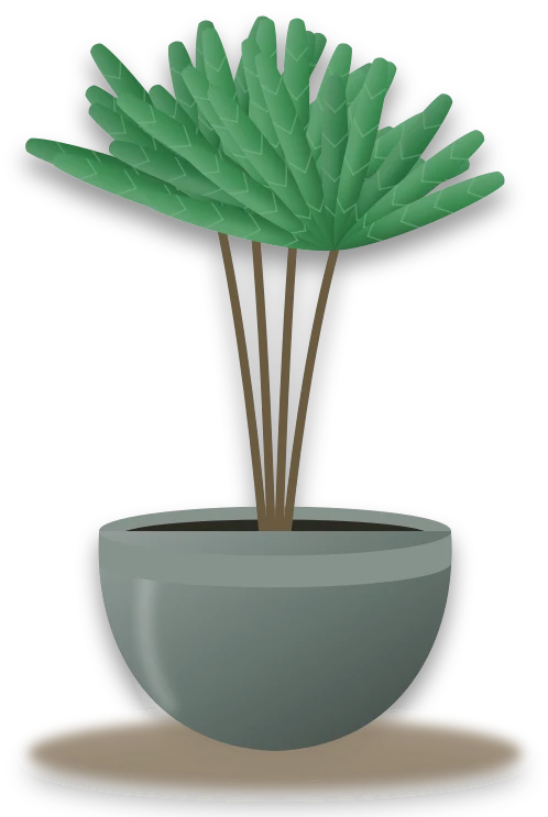 Illustration of a potted lady palm