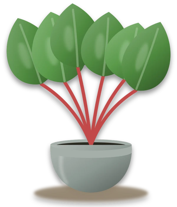 Illustration of a potted rhubarb