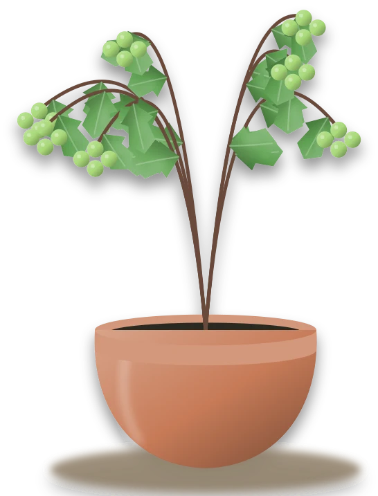 Illustration of a potted gooseberry