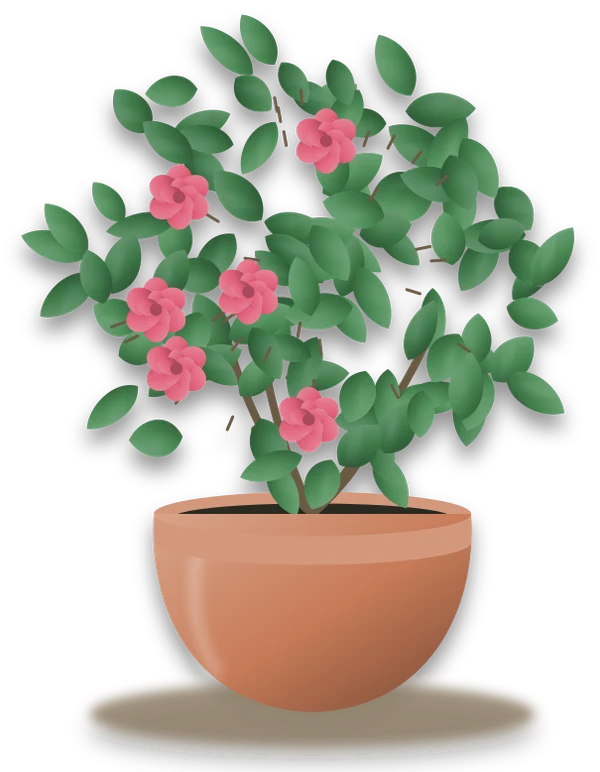 Illustration of a potted rose
