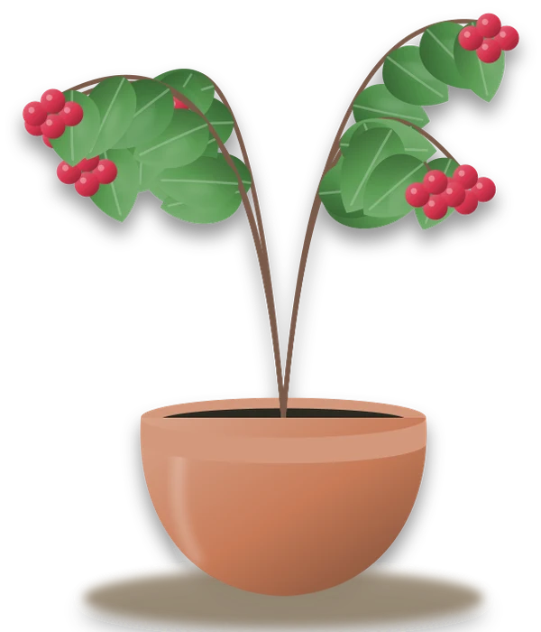 Illustration of a potted raspberry