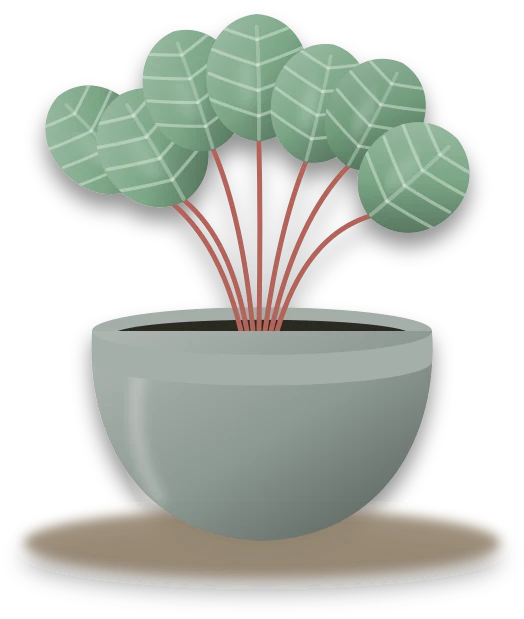 Illustration of a potted strawberry begonia