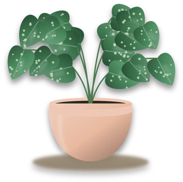 Illustration of a potted satin pothos