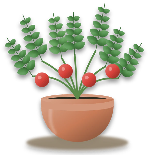 Illustration of a potted tomato