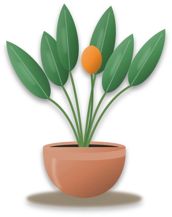 Illustration of a potted bird of paradise