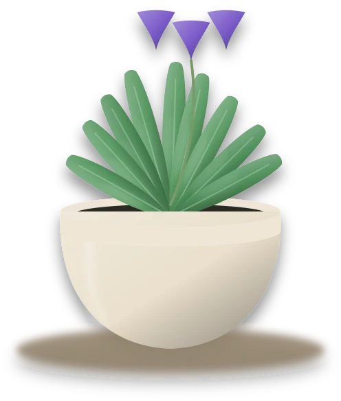 Illustration of a potted african violet