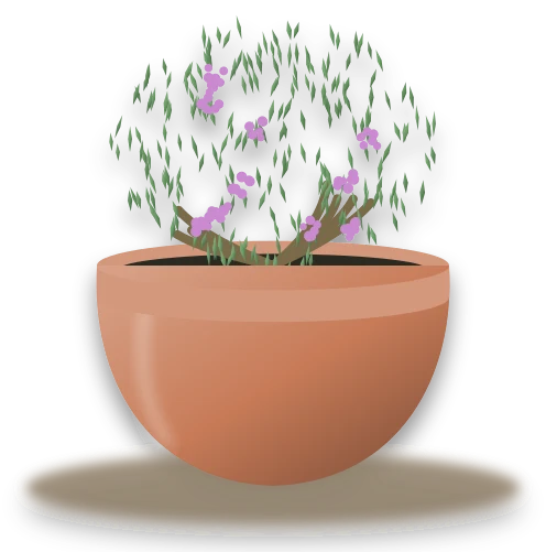 Illustration of a potted thyme