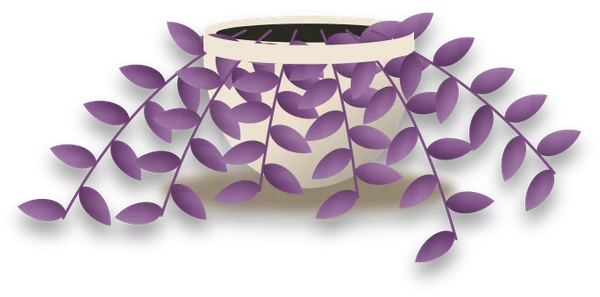 Illustration of a potted purple heart