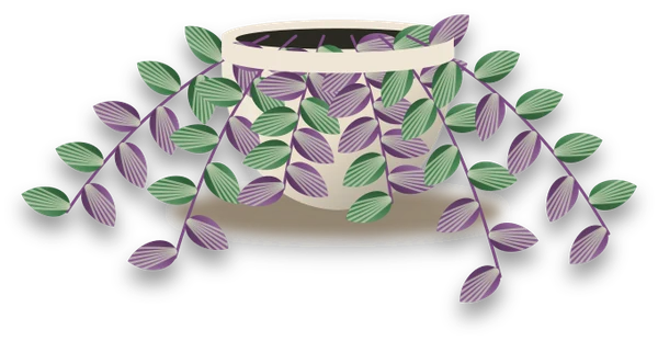Illustration of a potted inch plant