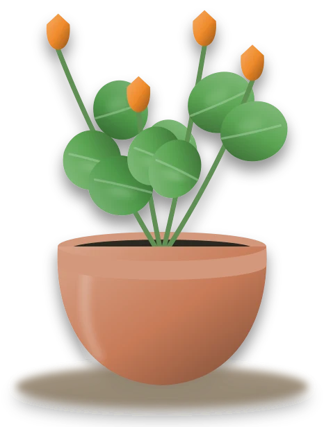 Illustration of a potted nasturtium