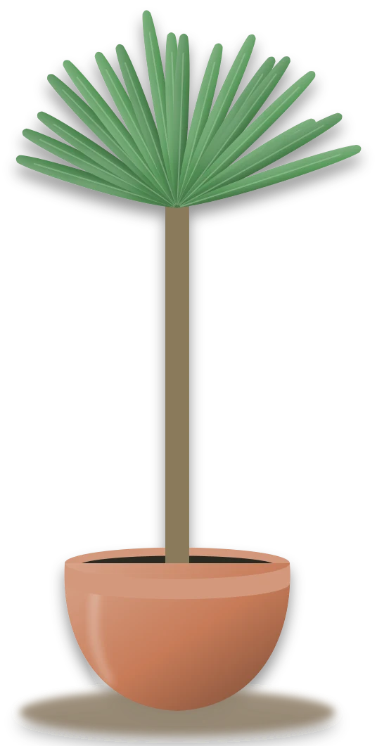 Illustration of a potted yucca
