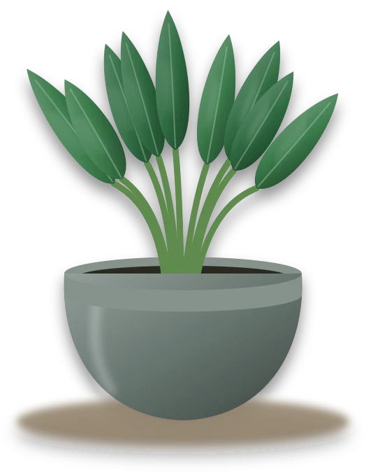 Illustration of a potted zz plant