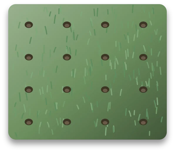 A lawn with rows of small round holes punched through the turf, with bare soil showing in each one.