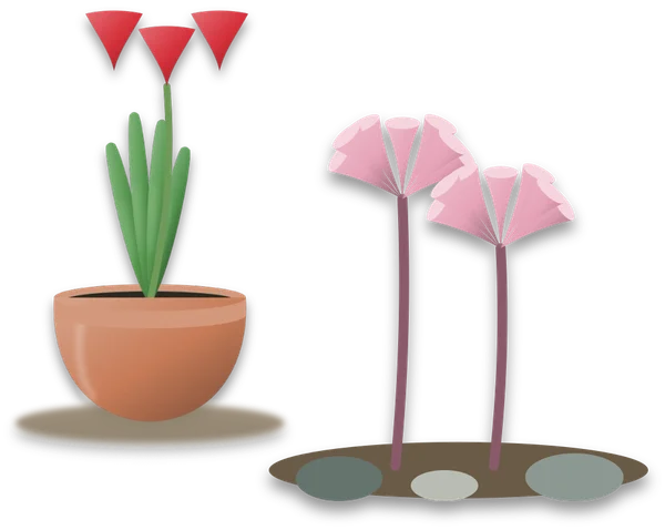 A potted amaryllis with leaves and red trumpet flowers beside a garden belladonna lily whose bare stalks carry pink flowers and no leaves.