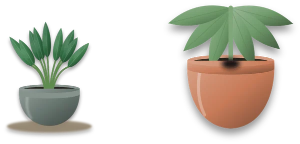 A healthy plant standing upright beside one whose stem has gone soft and dark at the compost line, with its leaves collapsing.