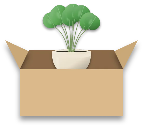 A small houseplant poking out of the top of an open cardboard box.