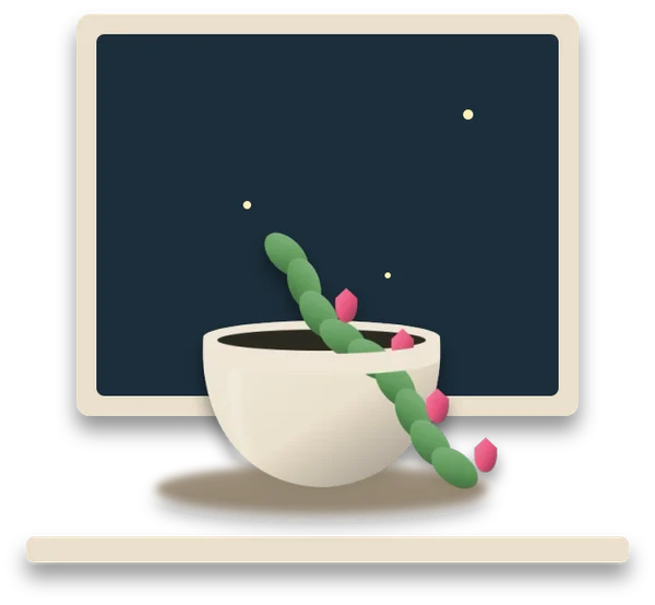 A Christmas cactus in flower on a windowsill, with a dark night sky outside the window.