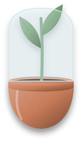 A small pot of compost with a single cutting pushed into it, covered by a loose clear bag.