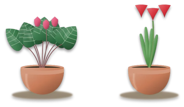 A cyclamen with pink flowers beside an amaryllis with tall red blooms, both growing in pots.