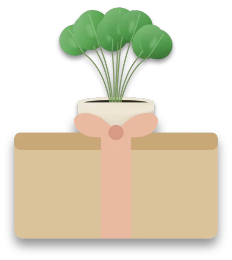 A wrapped gift box with a ribbon and a bow, with a small leafy houseplant rising out of the top.
