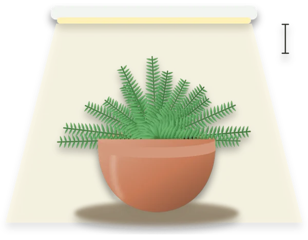A fern standing under a long fluorescent tube fixture, with a faint glow falling from the tube onto the fronds.
