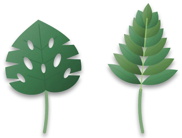 Two large leaves on long stalks: a Monstera leaf on the left, heart shaped with round holes and slits at the edge, and a split leaf philodendron leaf on the right, cut into narrow lobes right down to the midrib with no holes.