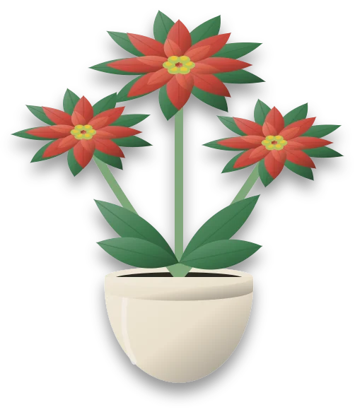 A potted poinsettia with red bracts spread like petals around the small yellow flower clusters at the centre of each head.