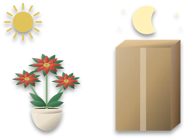A poinsettia in a pot under a sun on the left, and on the right a cardboard box standing over a second plant under a crescent moon.