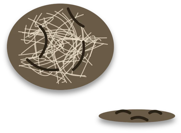 A root ball lifted out of its pot, with pale firm roots, a few dark soft roots, and cut-off dark pieces lying beside it.