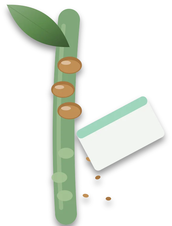 A plastic card held against a stem, with a stretch below it scraped clean and pale, and brown scale bumps still sitting on the stem above it.