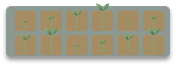 A seed tray of twelve cells, with seedlings at four sizes, from newly sprouted to well grown.