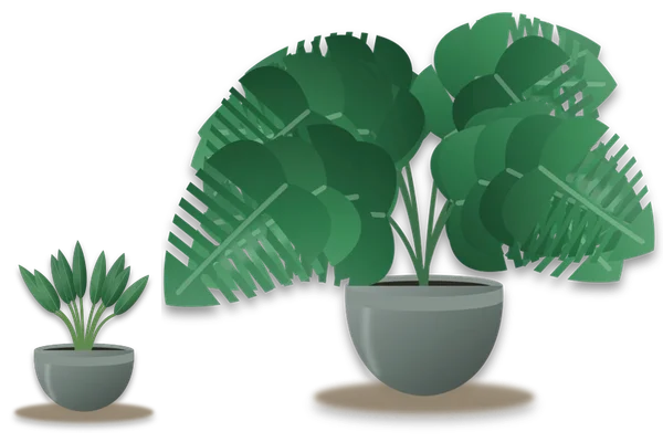 Two houseplants standing side by side, one small and one more than twice its height, to show how size changes the choice.
