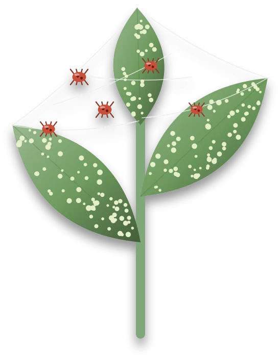 A leaf speckled with pale dots where the green has been drained, with fine silk webbing strung between the leaves and a few tiny red mites.