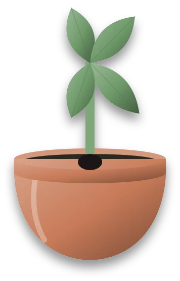 A stem with a blackened ring at the level of the compost, rising from a pot of damp soil.