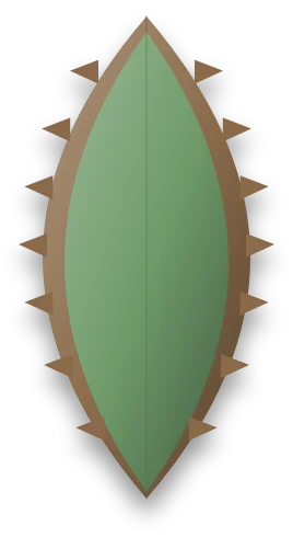 A broad leaf with a crisp, dry brown band along its outer edge and a green centre.